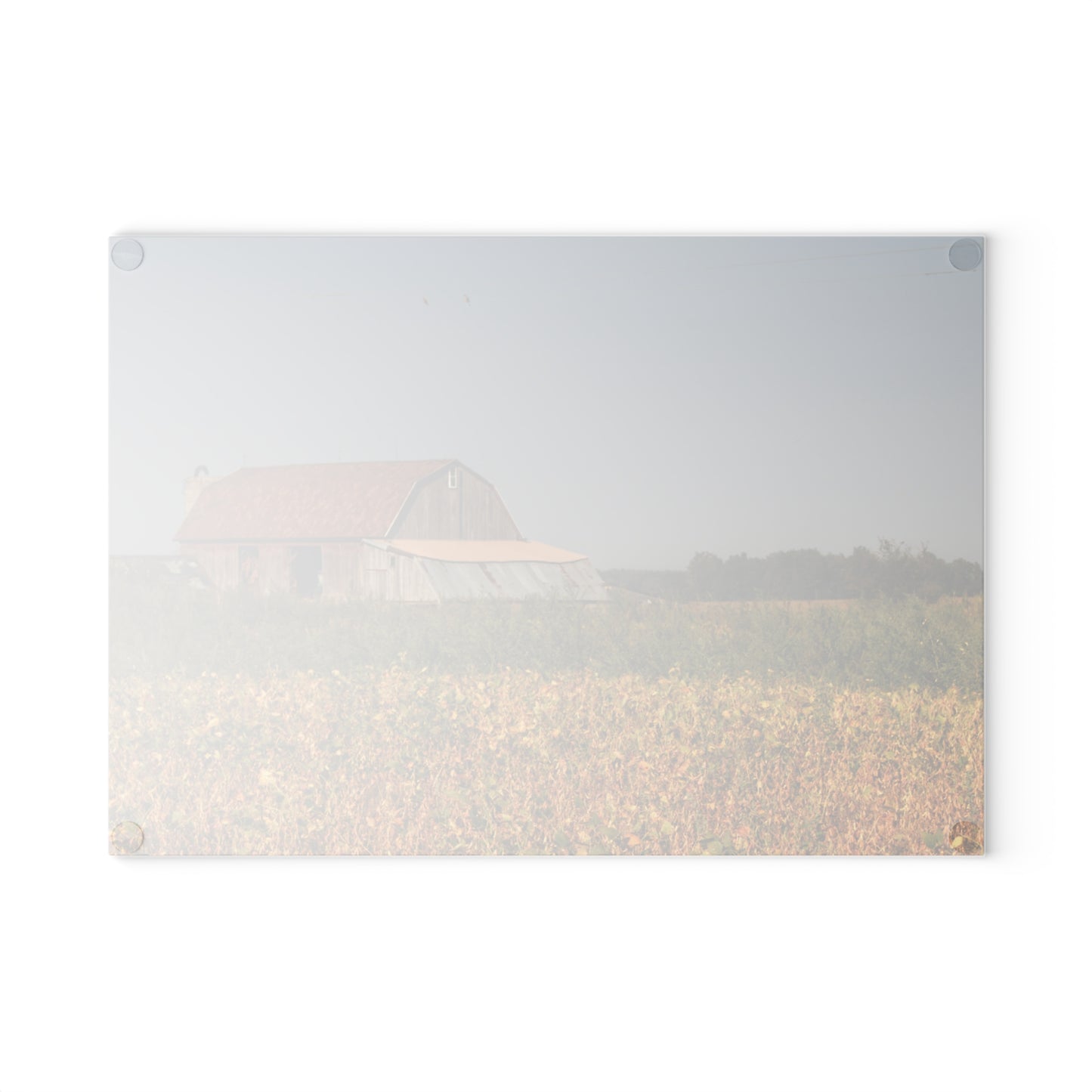 U R There Photography Slattery Road Saltbox Grey Rustic Farmhouse Tempered-Glass Cutting Board