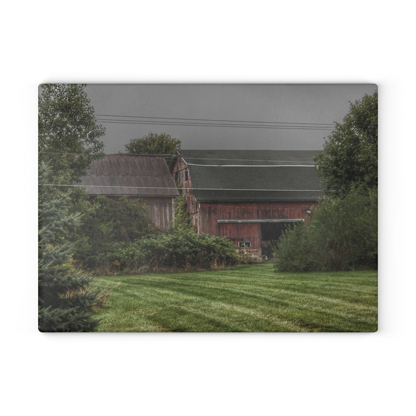 U R There Photography Bowers Road Grey Duo II Rustic Farmhouse Tempered-Glass Cutting Board