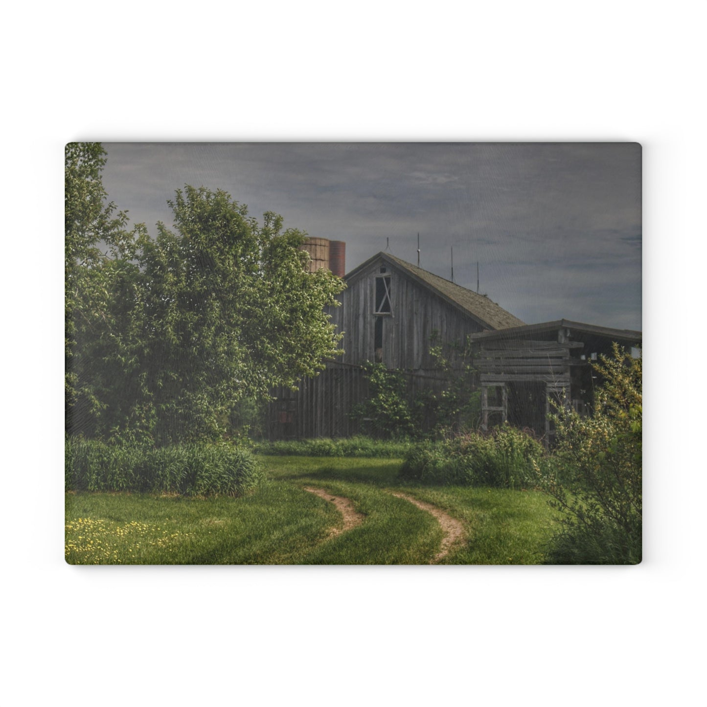 U R There Photography Barkley Road Greys I Rustic Farmhouse Tempered-Glass Cutting Board