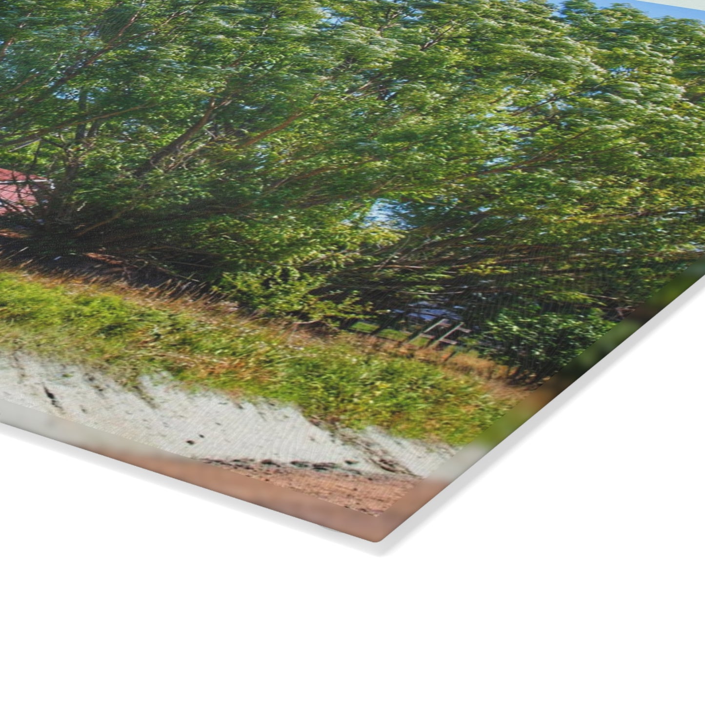 U R There Photography East Farrand Grey Rustic Farmhouse Tempered-Glass Cutting Board