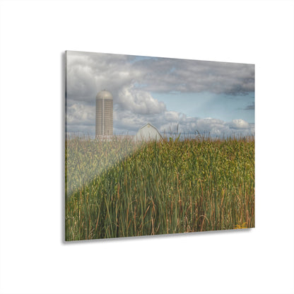 U R There Photography Overlooking a Cornfield Rustic Farmhouse Acrylic Wall Print