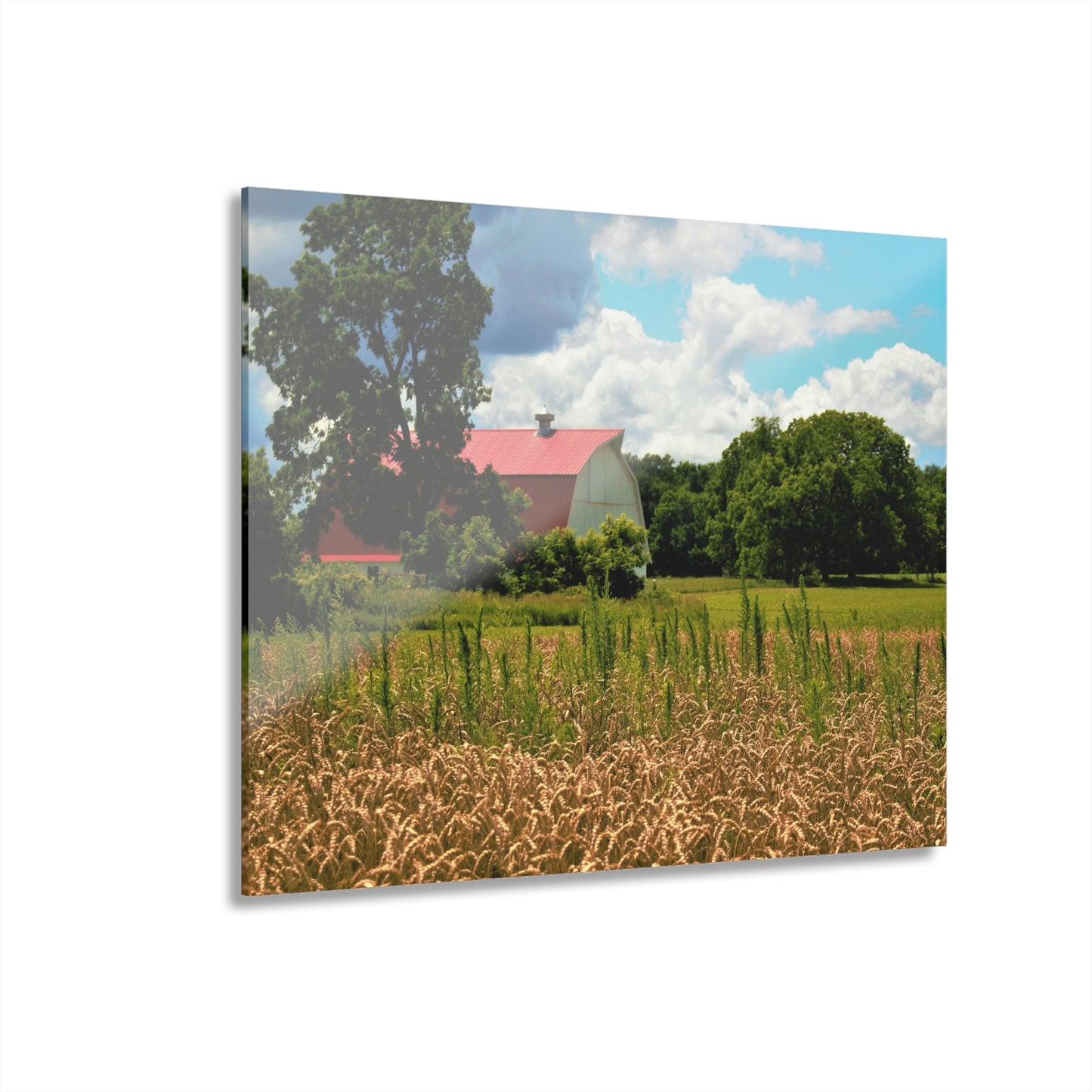 U R There Photography Northern White Rustic Farmhouse Acrylic Wall Print