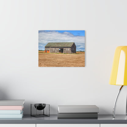 U R There Photography Rescue Road Grey Rustic Farmhouse Acrylic Wall Print