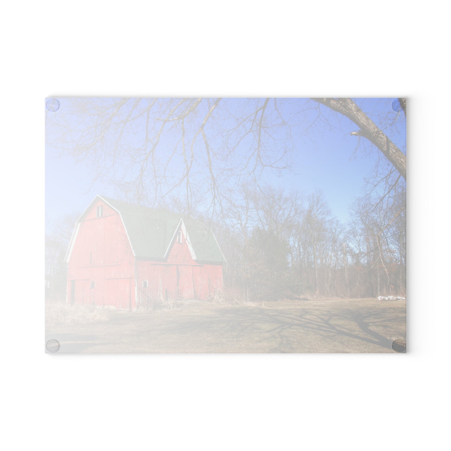 U R There Photography Hickory Ridge Red I Rustic Farmhouse Tempered-Glass Cutting Board
