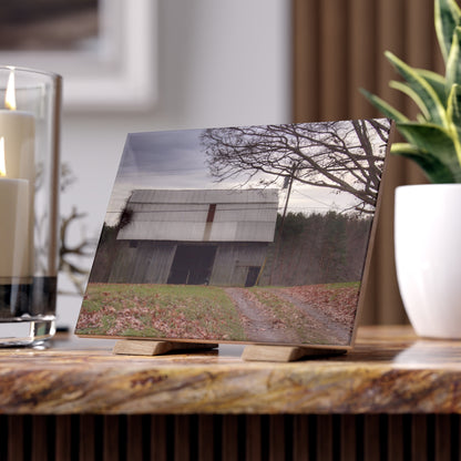 U R There Photography Grey Horse Barn Rustic Farmhouse Decorative Ceramic Tile