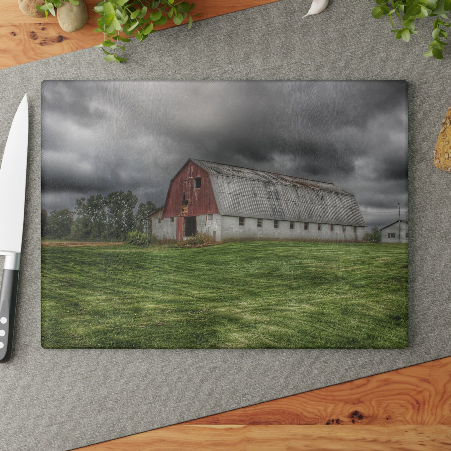 U R There Photography Peters Red Appaloosa I Rustic Farmhouse Tempered-Glass Cutting Board 8"x 11