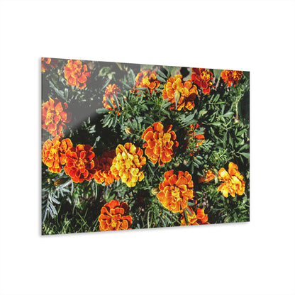 U R There Photography Marigolds Rustic Farmhouse Acrylic Wall Print