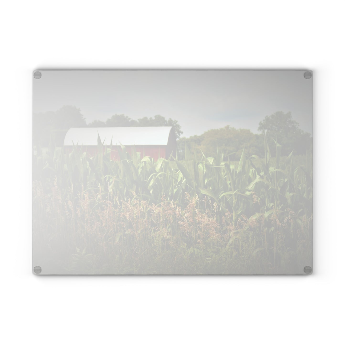 U R There Photography July Corn Rustic Farmhouse Tempered-Glass Cutting Board