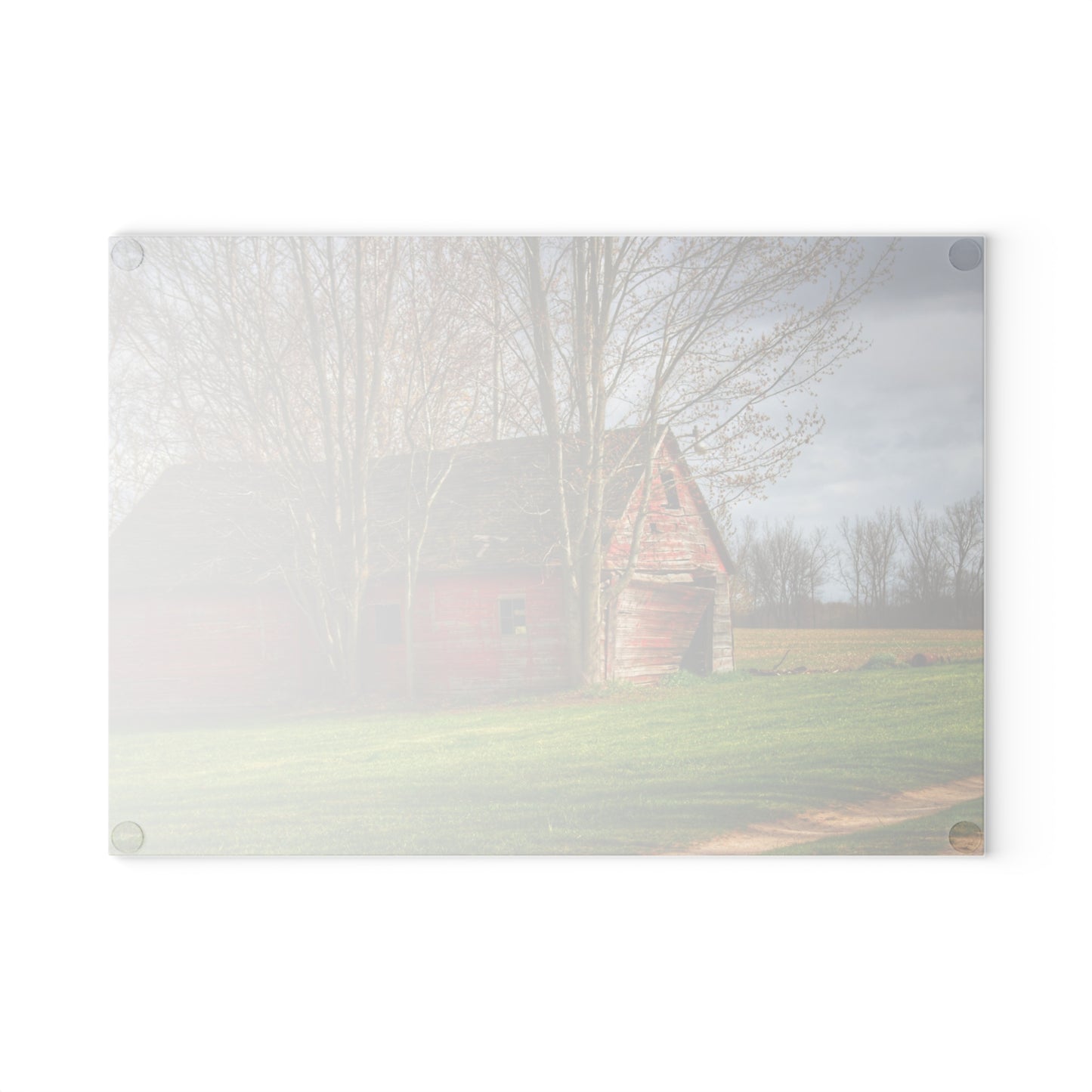 U R There Photography Centerline Shack Rustic Farmhouse Tempered-Glass Cutting Board