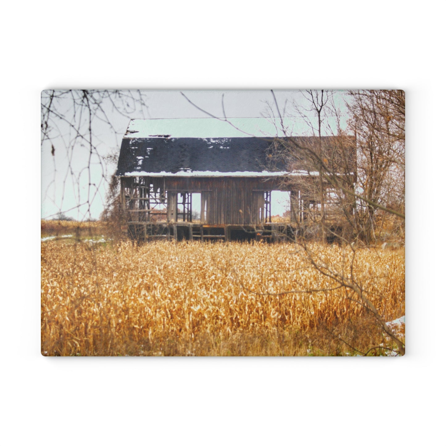 U R There Photography North Oxford Road Grey II Rustic Farmhouse Tempered-Glass Cutting Board