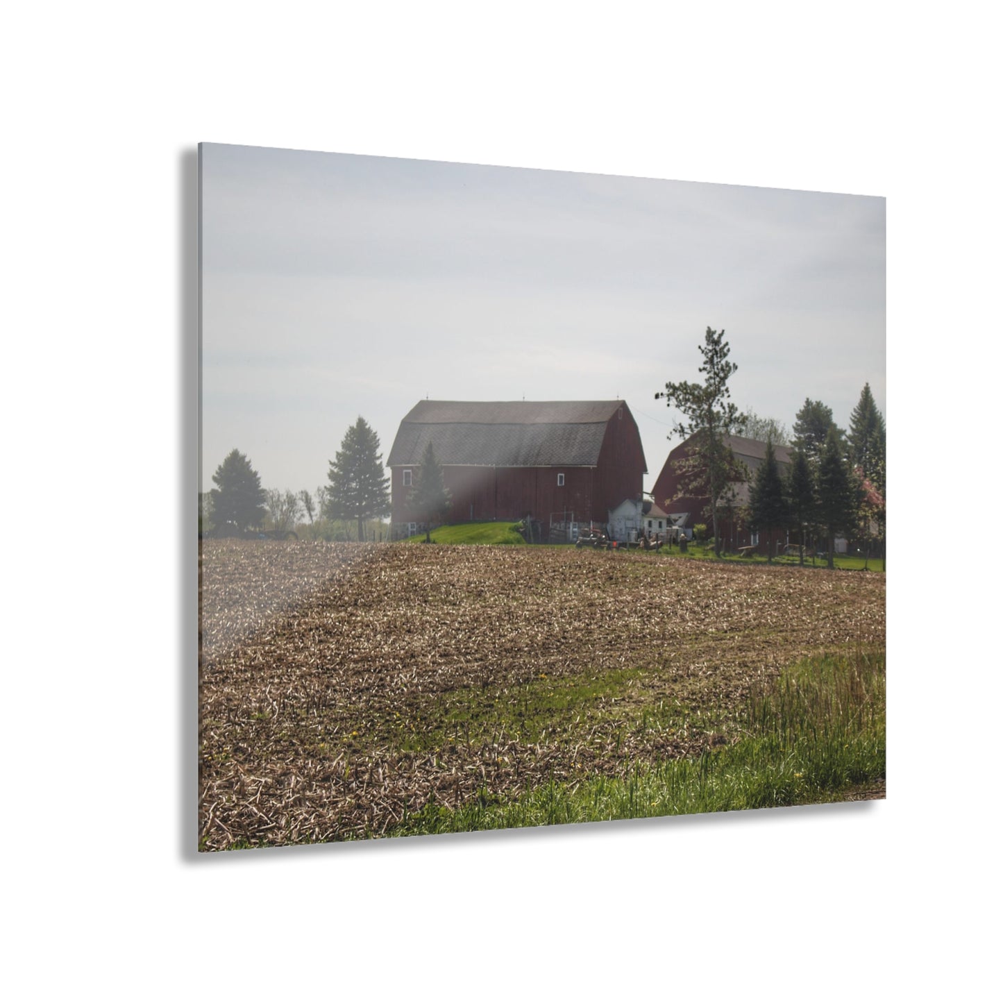 U R There Photography Bishop Road Reds IV Rustic Farmhouse Acrylic Wall Print