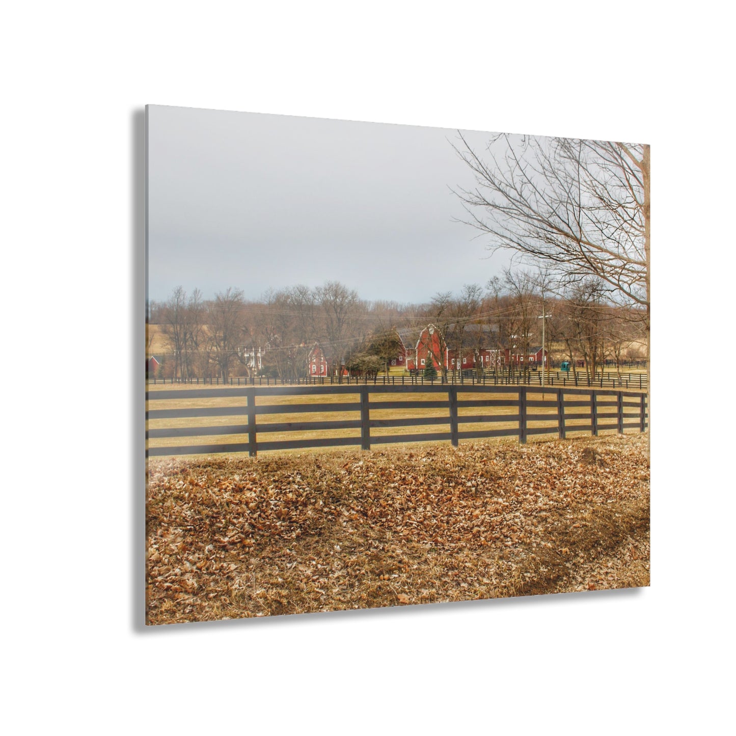 U R There Photography Barber Road Farm I Rustic Farmhouse Acrylic Wall Print
