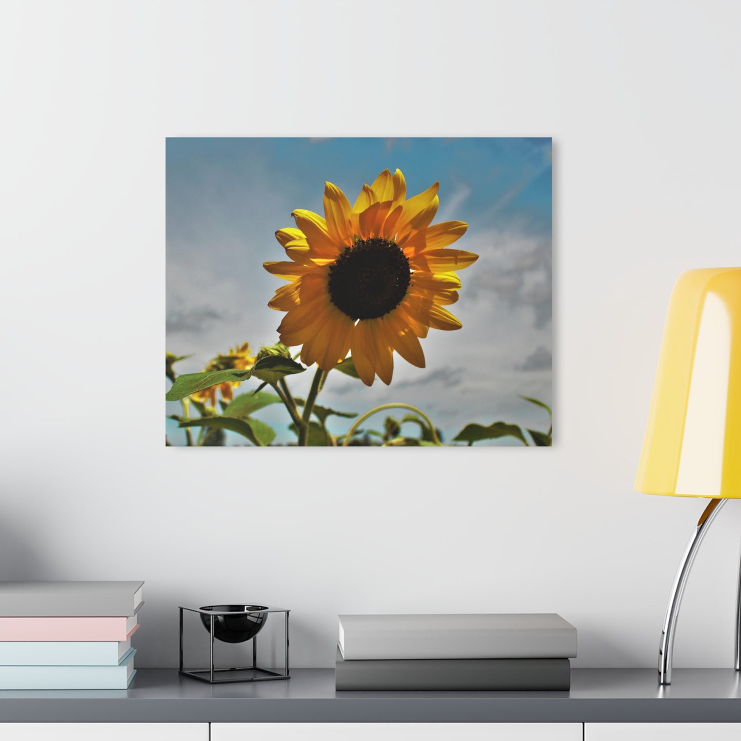 Barn Boutique Modern Farmhouse Acrylic Wall Print| Awakening Sunflower