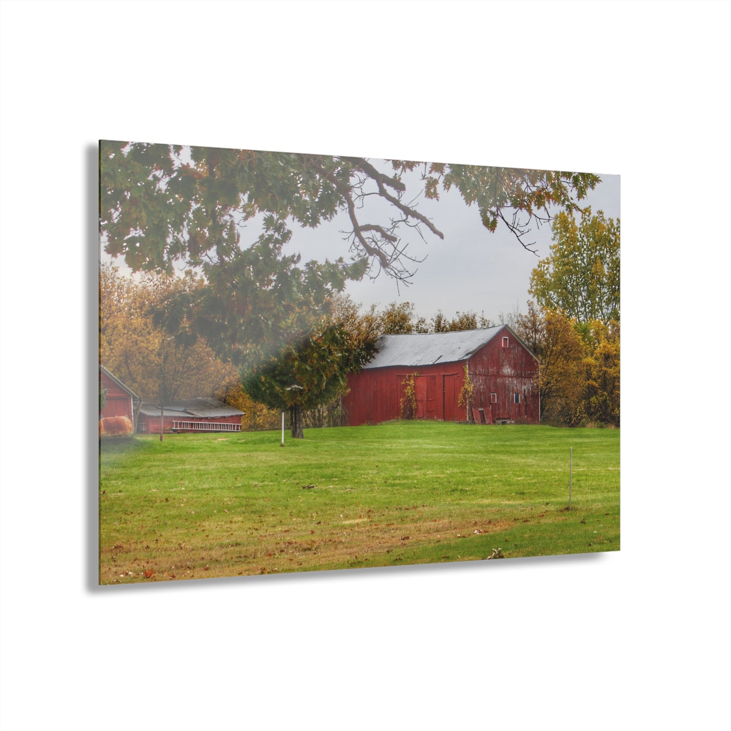 U R There Photography Hill Road Roadside Red Rustic Farmhouse Acrylic Wall Print