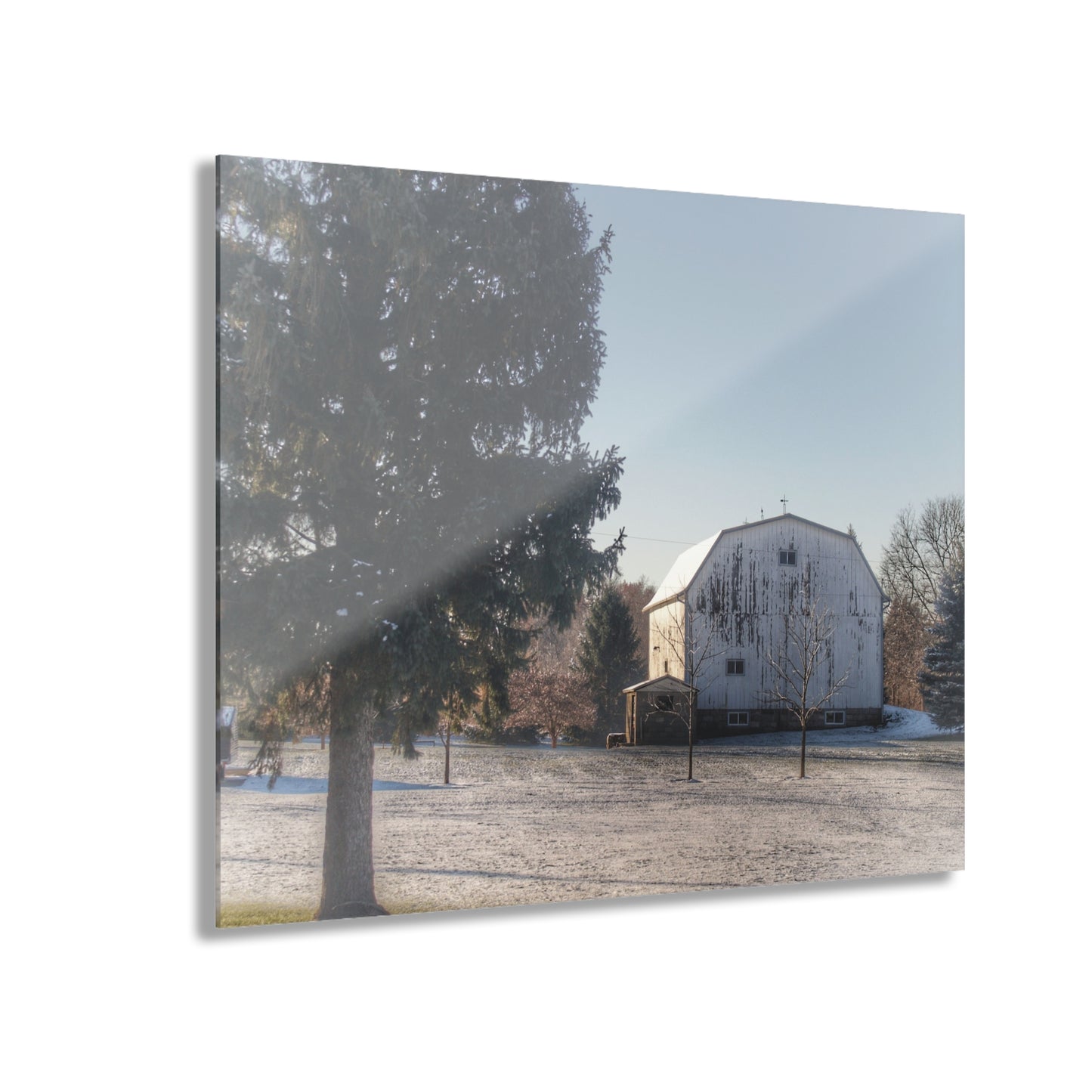U R There Photography Washburn White Rustic Farmhouse Acrylic Wall Print