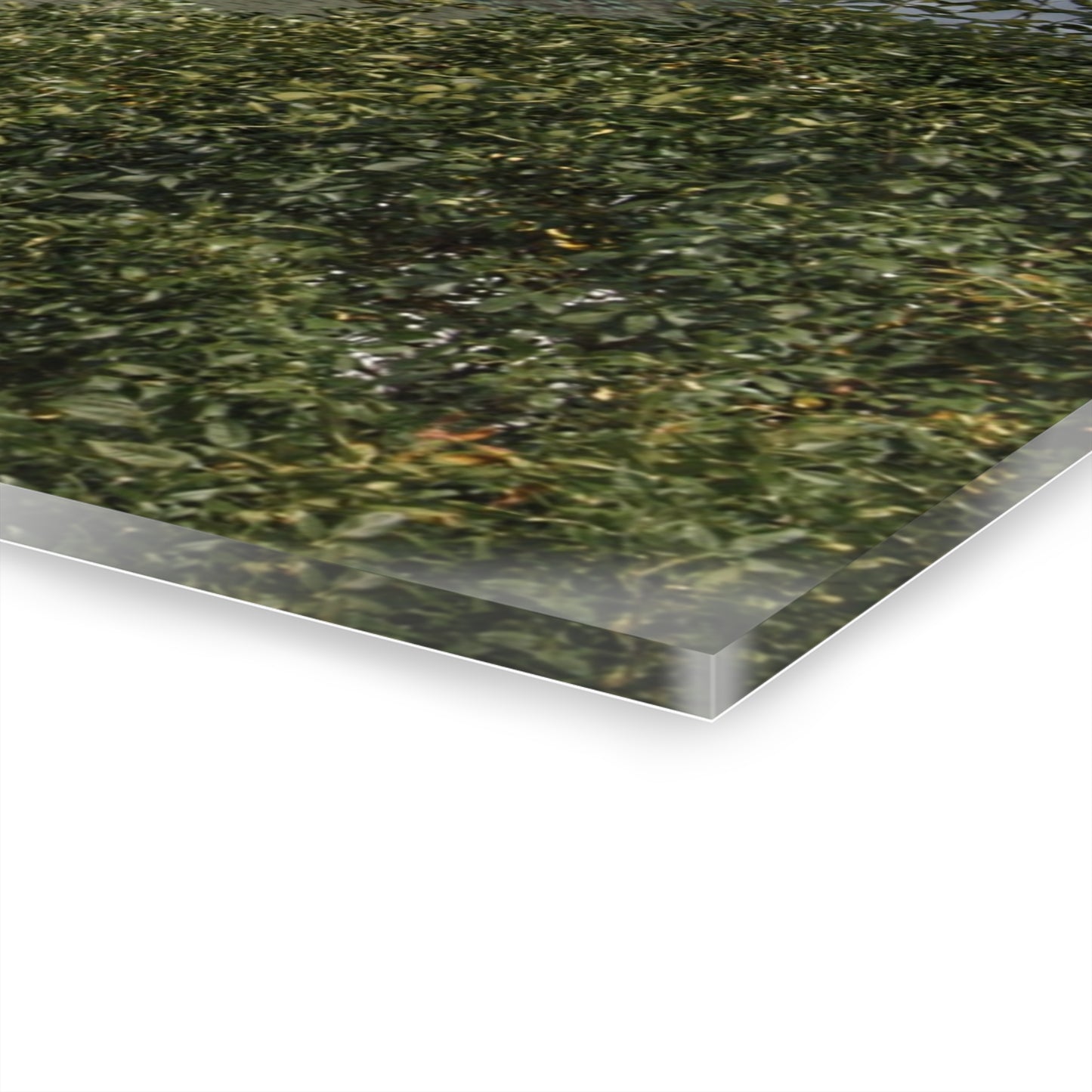 U R There Photography Hill Road Hidden Grey II Rustic Farmhouse Acrylic Wall Print