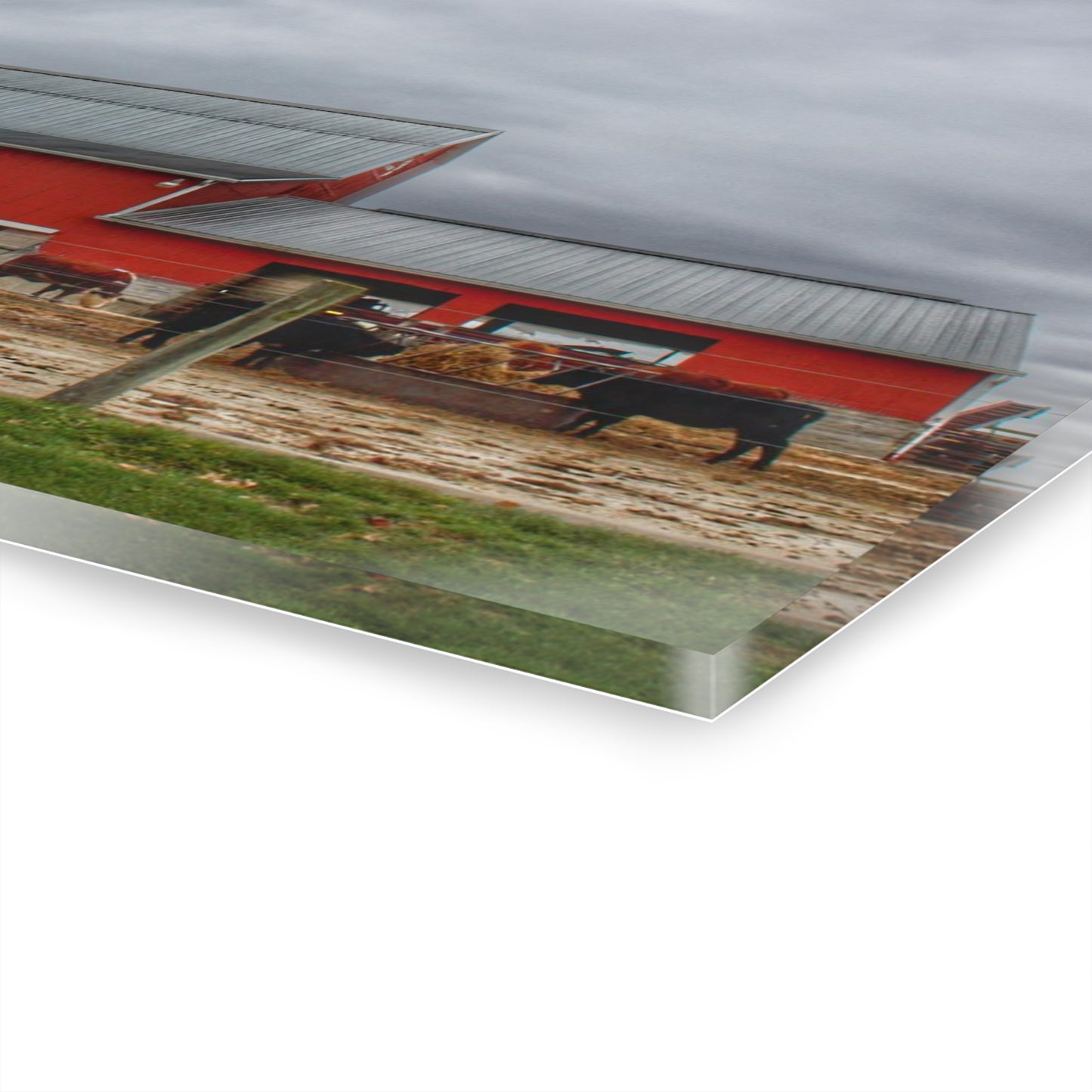 U R There Photography Daley Road Cow Barn Rustic Farmhouse Acrylic Wall Print