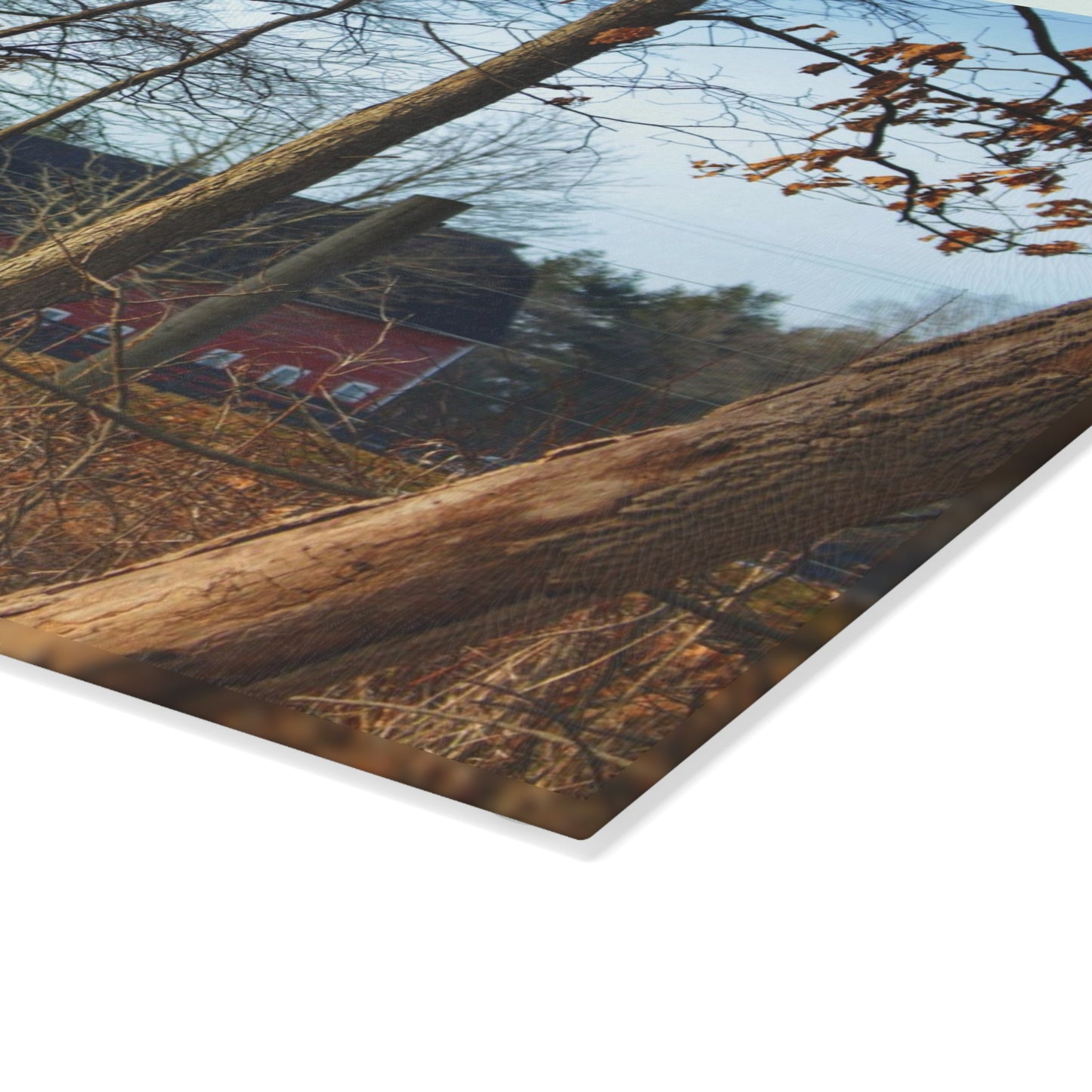U R There Photography Blood Road Red II Rustic Farmhouse Tempered-Glass Cutting Board