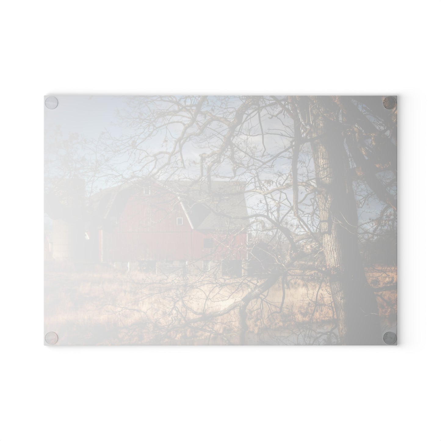 U R There Photography Greenwood Road Hidden Rustic Farmhouse Tempered-Glass Cutting Board