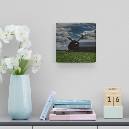 U R There Photography South Reese Road Reds Rustic Farmhouse Acrylic Analog Wall Clock