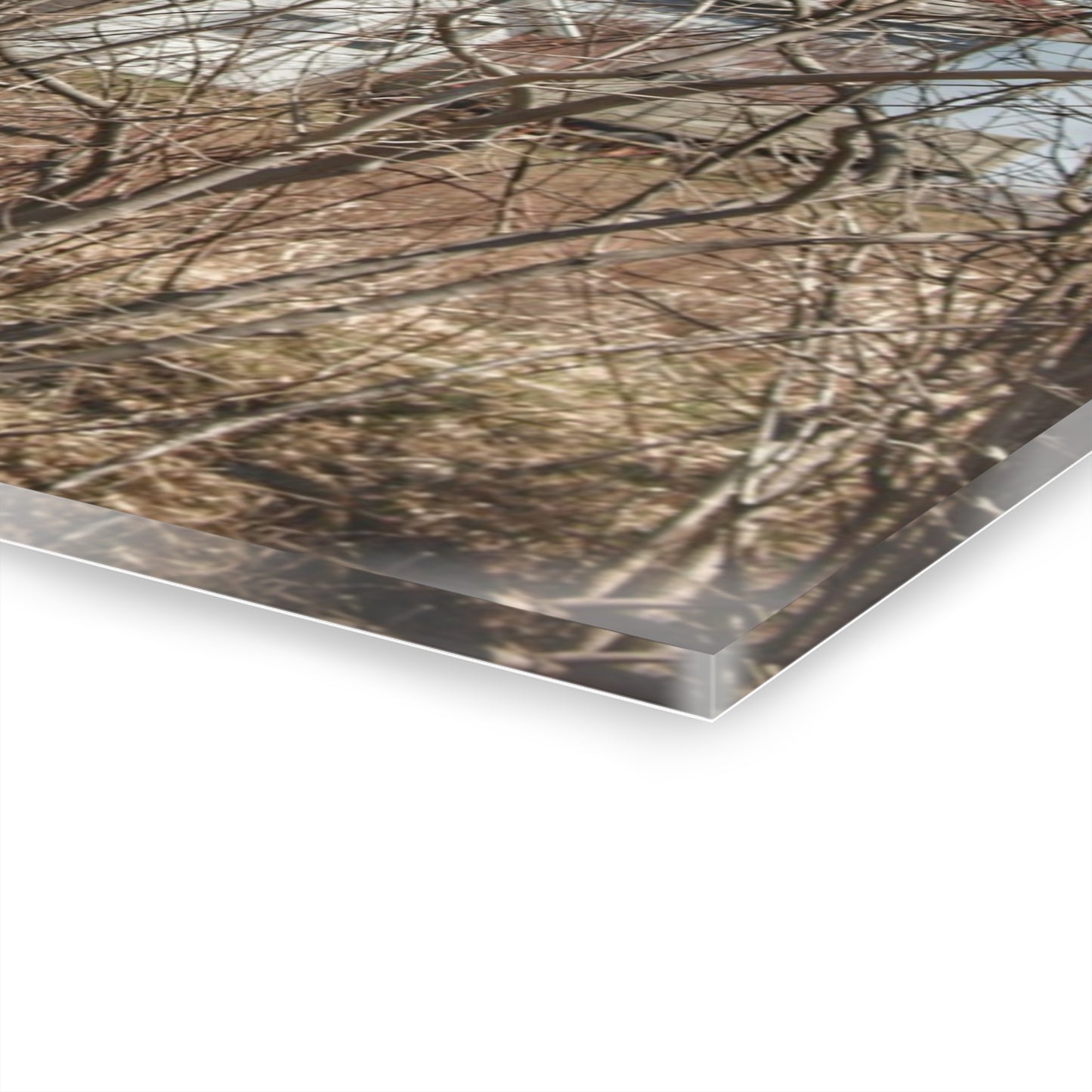 U R There Photography Hill Road Hidden Grey I Rustic Farmhouse Acrylic Wall Print