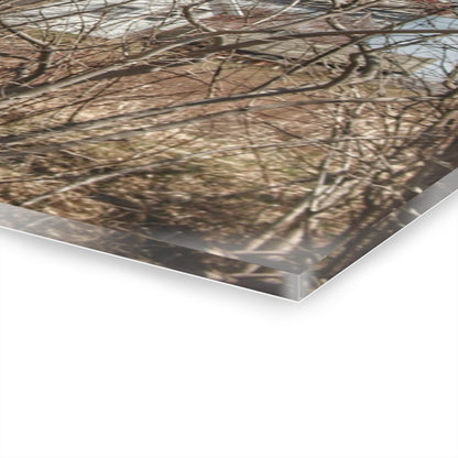 U R There Photography Hill Road Hidden Grey I Rustic Farmhouse Acrylic Wall Print