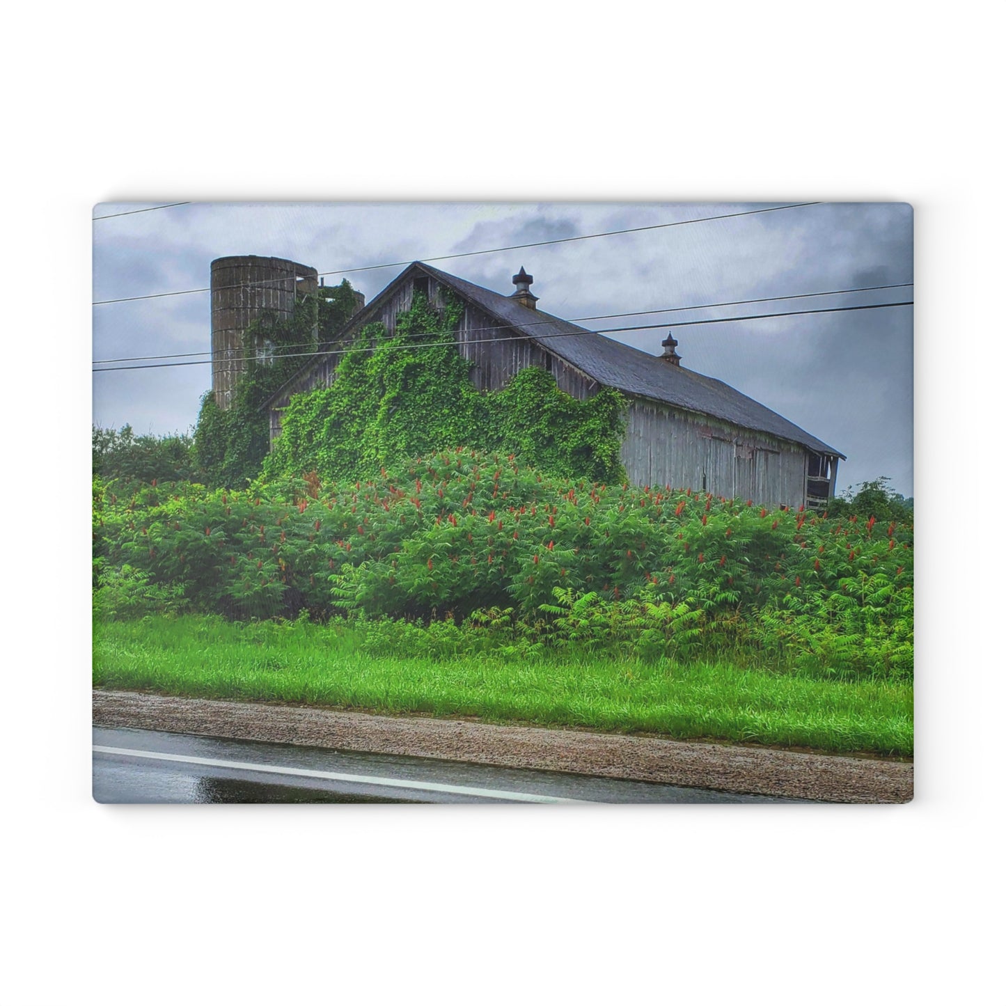 U R There Photography Metamora M-24 Grey IV Rustic Farmhouse Tempered-Glass Cutting Board