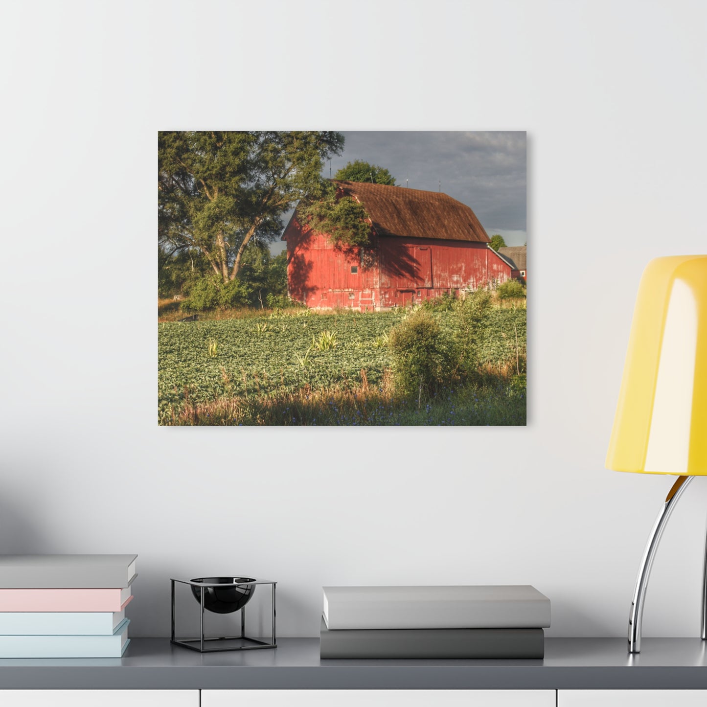 U R There Photography Genesee Road Red II Rustic Farmhouse Acrylic Wall Print