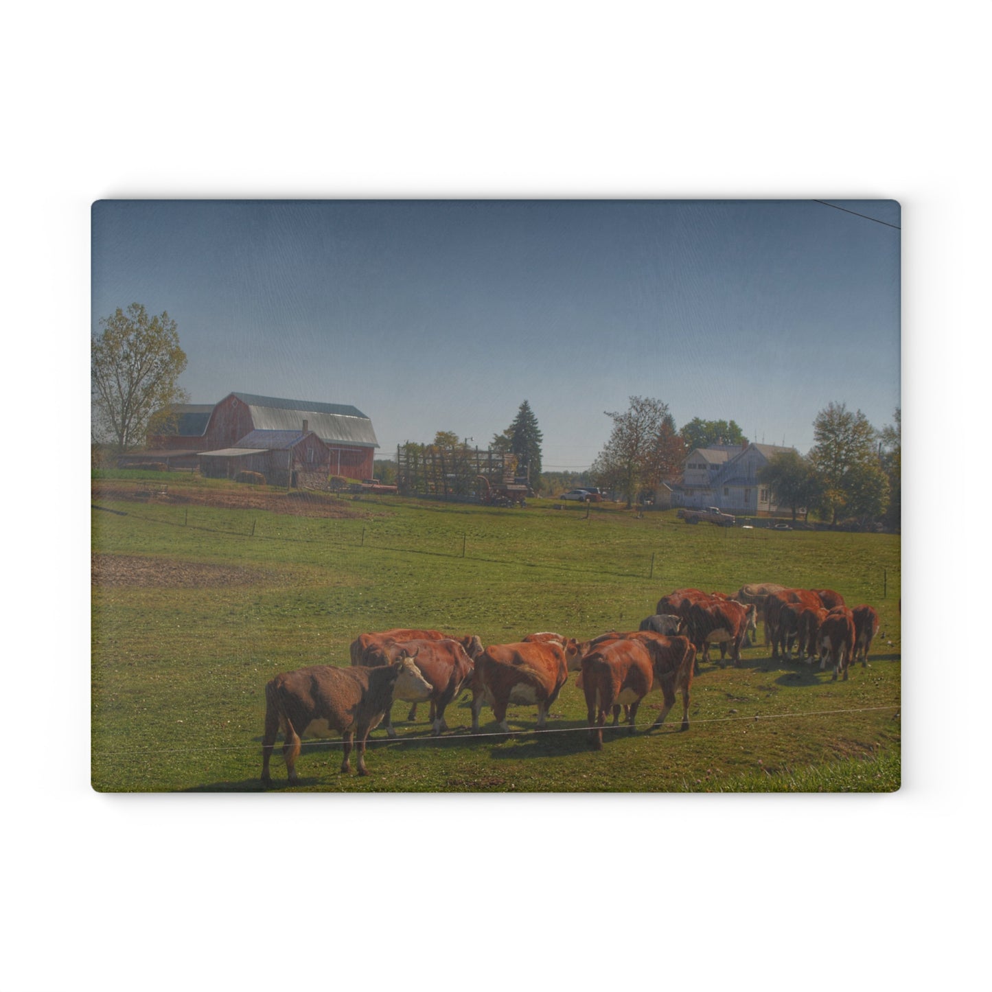 U R There Photography Plain Road Farm and Cows Rustic Farmhouse Tempered-Glass Cutting Board