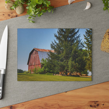 U R There Photography Mushroom Road Hidden Red Rustic Farmhouse Tempered-Glass Cutting Board