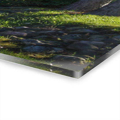 U R There Photography Hosner Road Hidden Grey Rustic Farmhouse Acrylic Wall Print