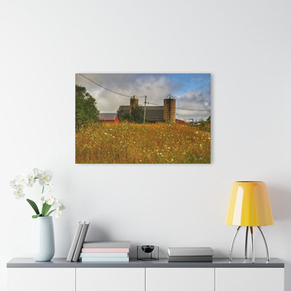 U R There Photography Brown Road Hidden Reds Rustic Farmhouse Acrylic Wall Print