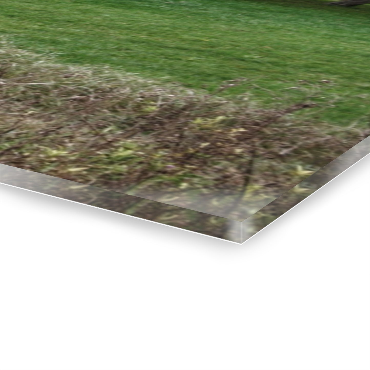 U R There Photography Grey Shack of Elmwood Rustic Farmhouse Acrylic Wall Print