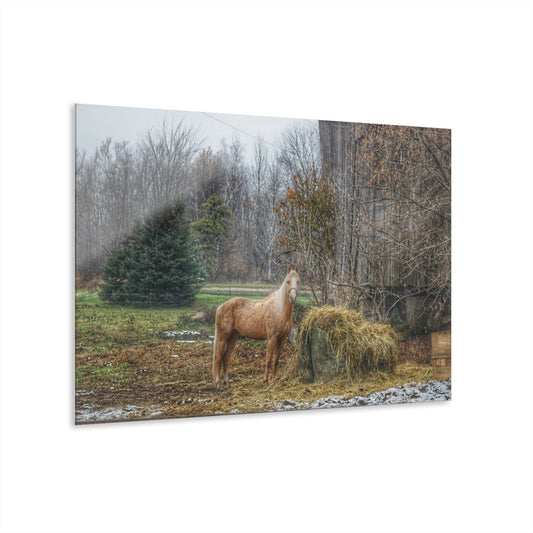 U R There Photography French Road Butterscotch Rustic Farmhouse Acrylic Wall Print