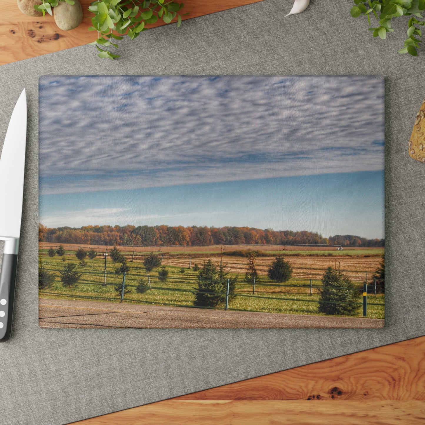 U R There Photography Fences, Firs and Fall Rustic Farmhouse Tempered-Glass Cutting Board