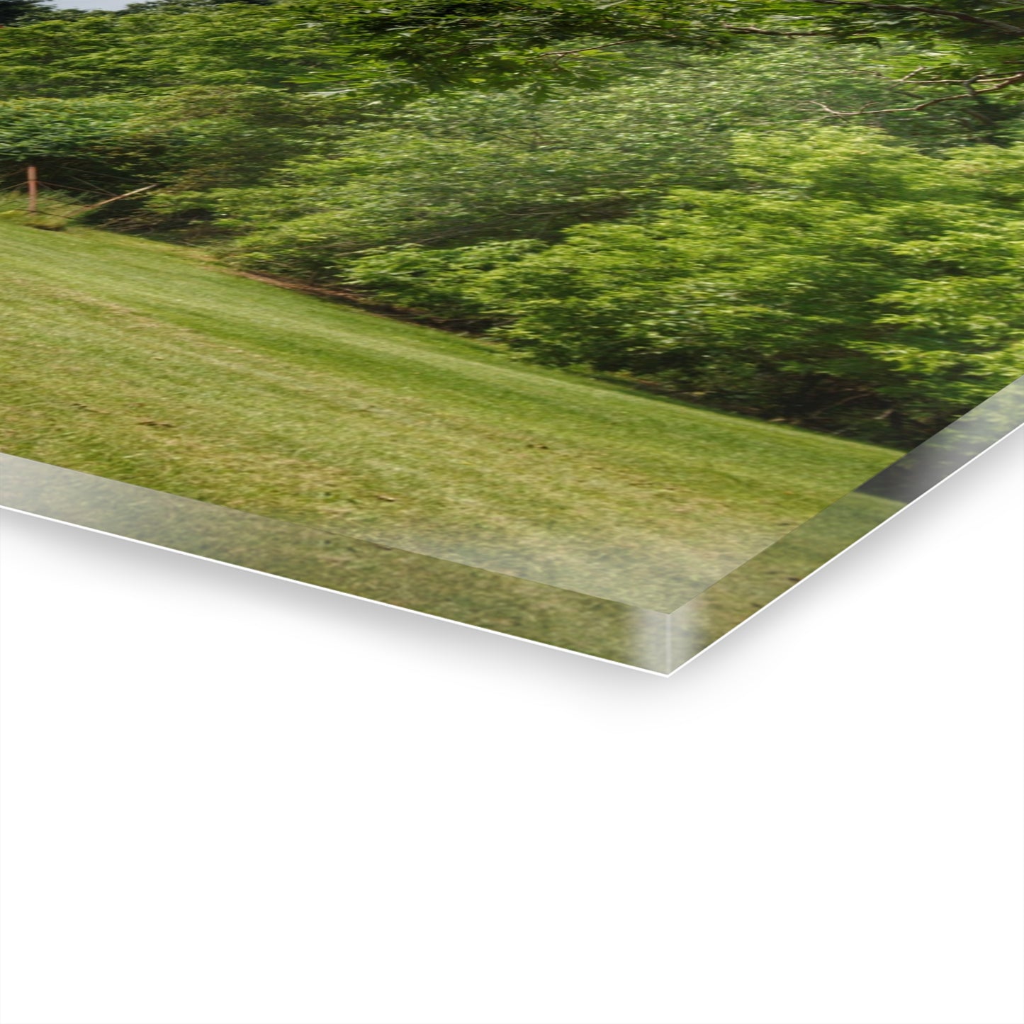 U R There Photography Hunters Creek White Rustic Farmhouse Acrylic Wall Print