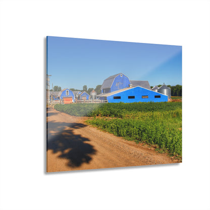 U R There Photography Kidder Road Blues I Rustic Farmhouse Acrylic Wall Print