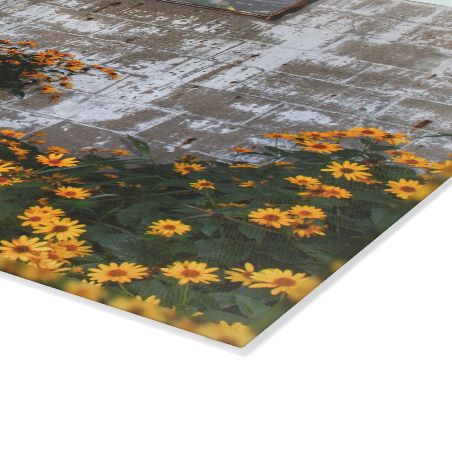 U R There Photography Golden Blooms on McDowell Rustic Farmhouse Tempered-Glass Cutting Board