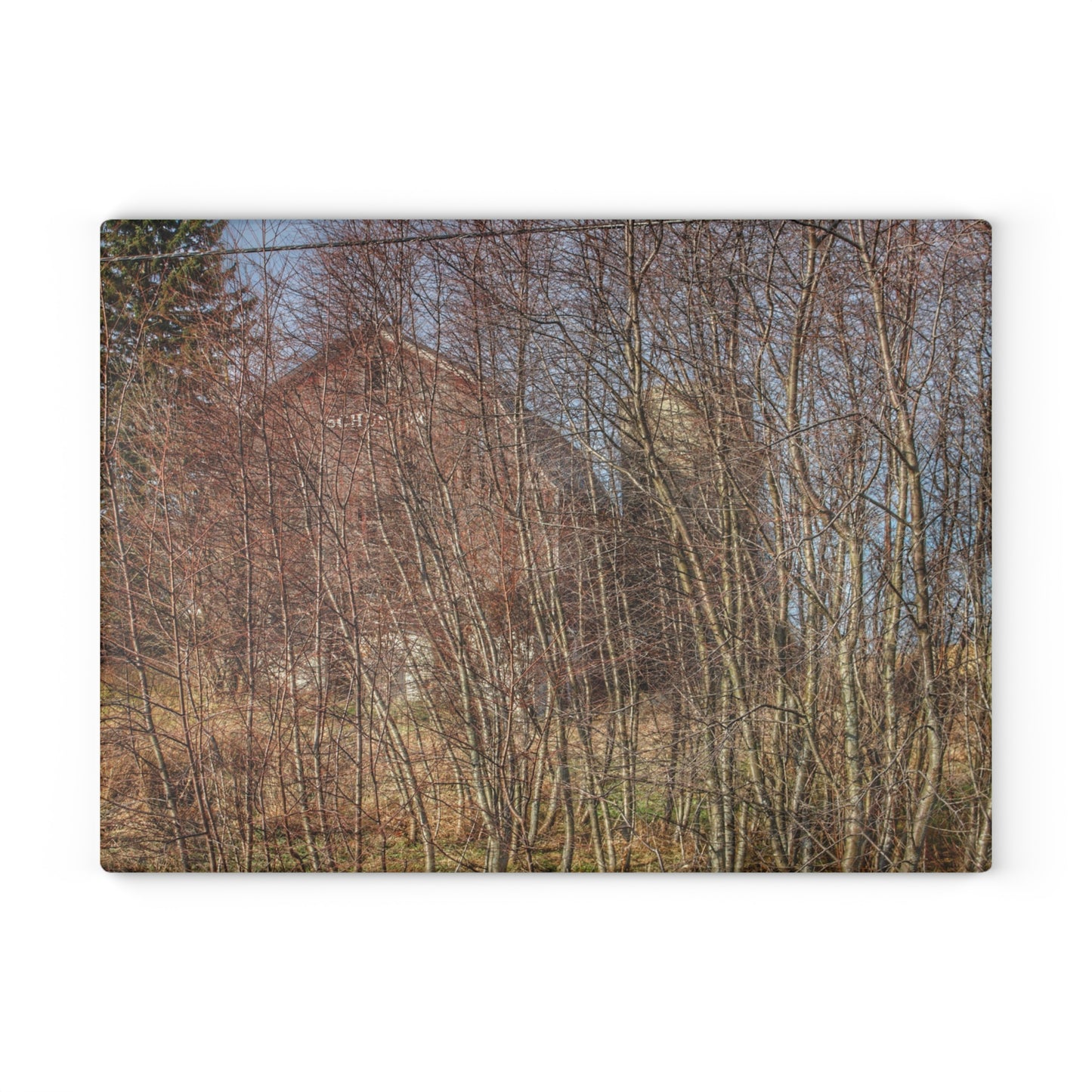 U R There Photography Otter Lake Hidden Red Rustic Farmhouse Tempered-Glass Cutting Board