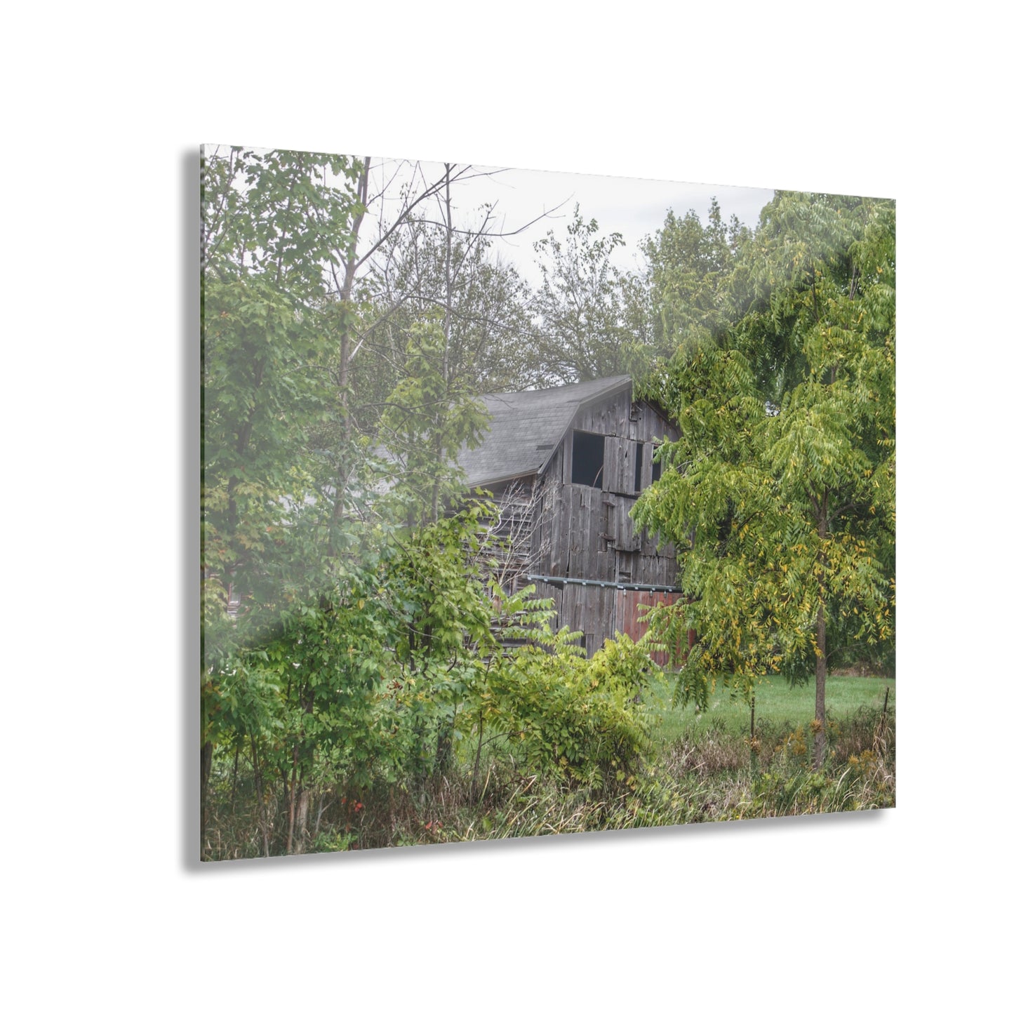 U R There Photography Hayes Road Hidden I Rustic Farmhouse Acrylic Wall Print