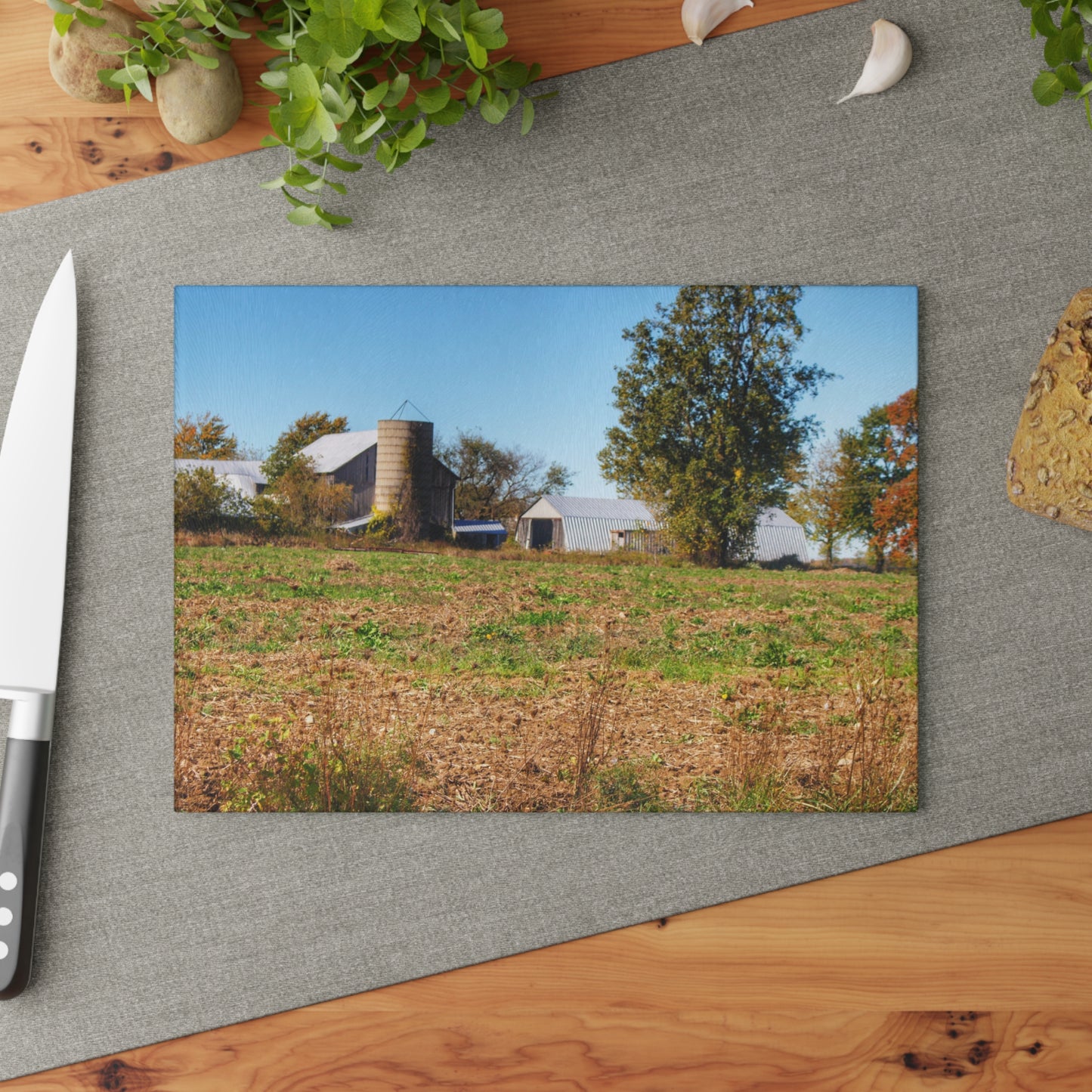 U R There Photography Freiberger Road Greys Rustic Farmhouse Tempered-Glass Cutting Board