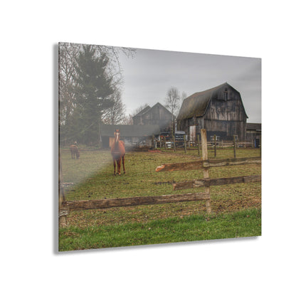 U R There Photography South Summers Road Old Grey and Caramel II Rustic Farmhouse Acrylic Wall Print