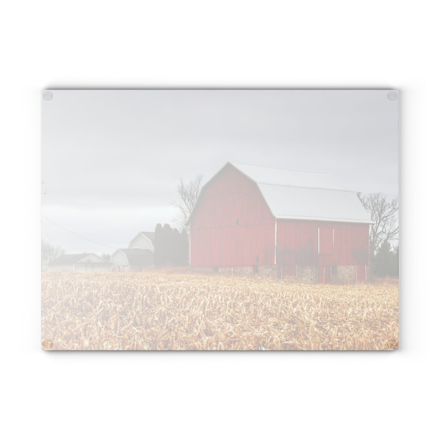 U R There Photography Jones Road Red Rustic Farmhouse Tempered-Glass Cutting Board