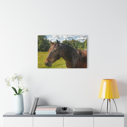U R There Photography Brown Beauty I Rustic Farmhouse Acrylic Wall Print