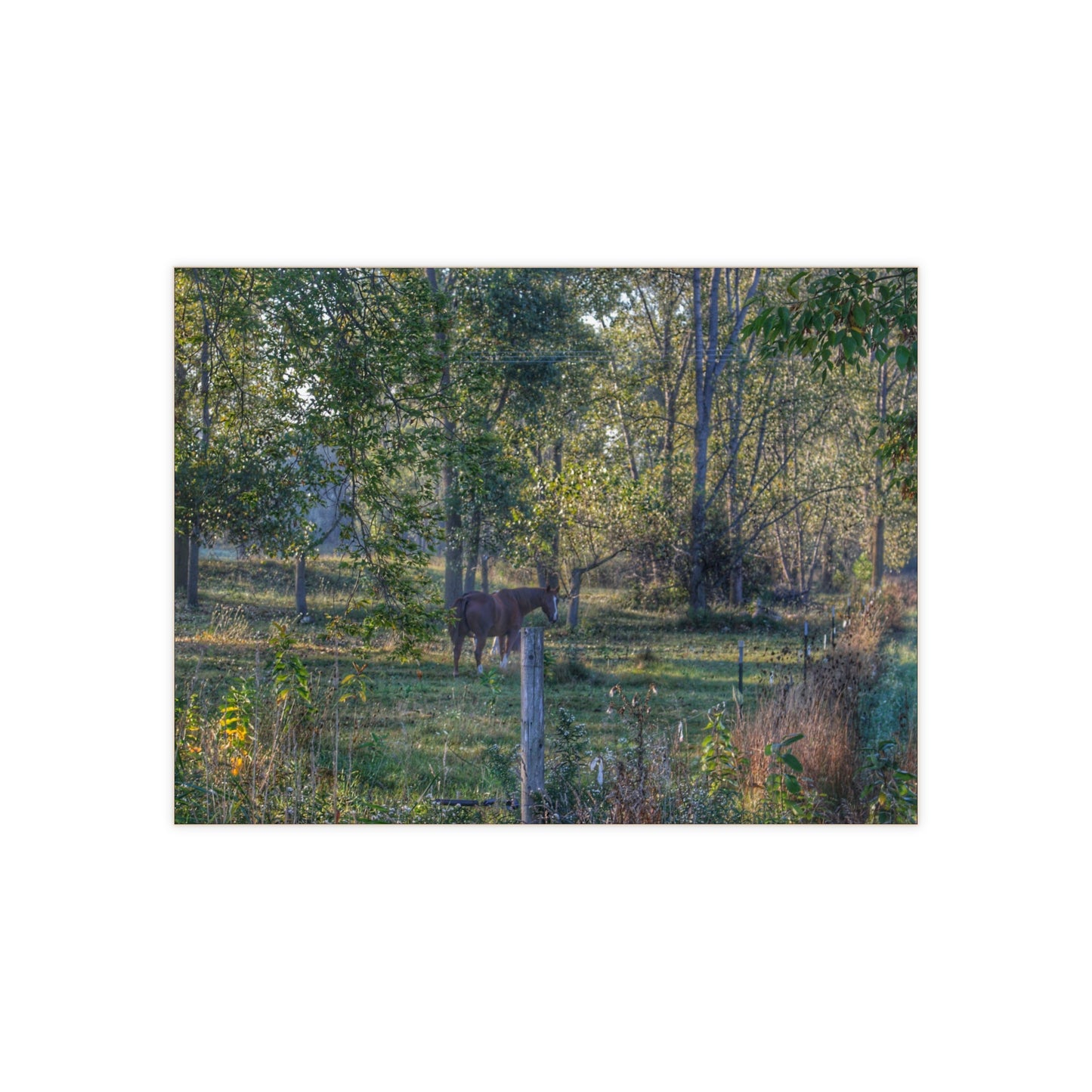U R There Photography Chestnut Horse Among the Trees Rustic Farmhouse Decorative Ceramic Tile