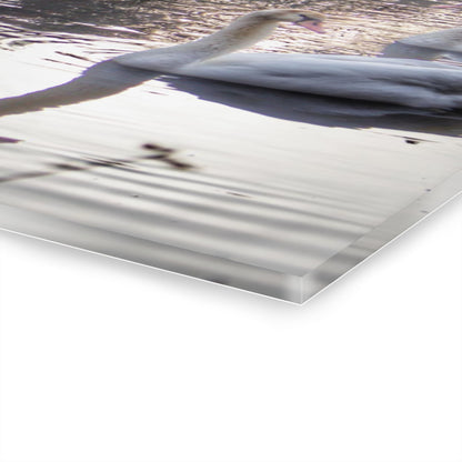 U R There Photography Swans of Duck Lake II Rustic Farmhouse Acrylic Wall Print
