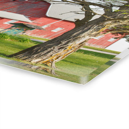 U R There Photography French Road Centennial Reds I Rustic Farmhouse Acrylic Wall Print