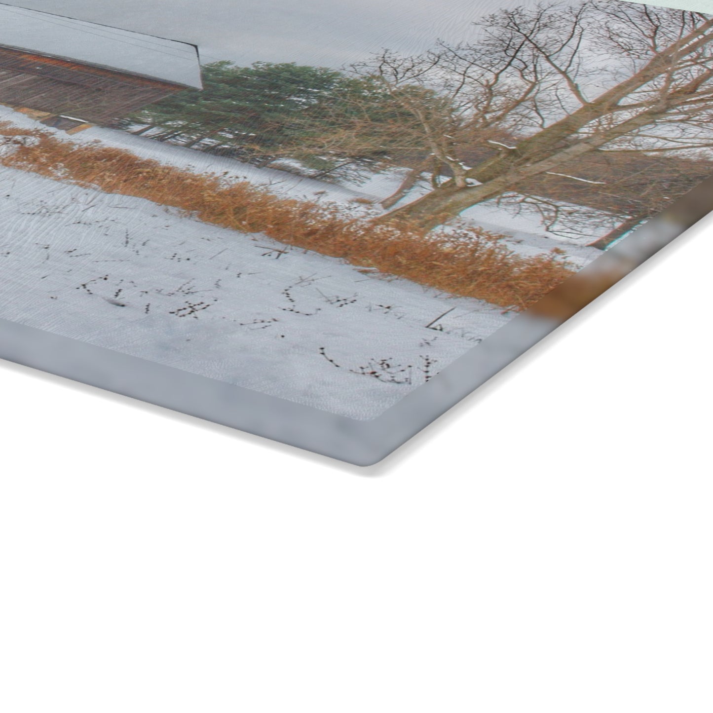 U R There Photography Hosner Road Grey in Winter Rustic Farmhouse Tempered-Glass Cutting Board