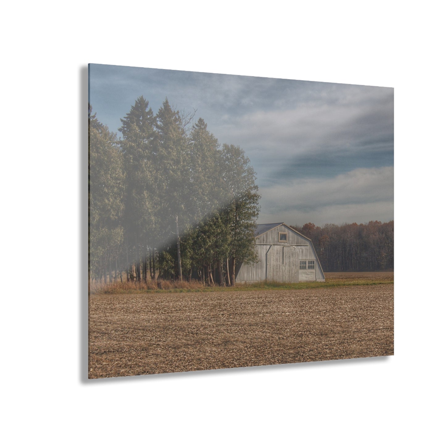 U R There Photography Grey Quonset Among the Pines Rustic Farmhouse Acrylic Wall Print