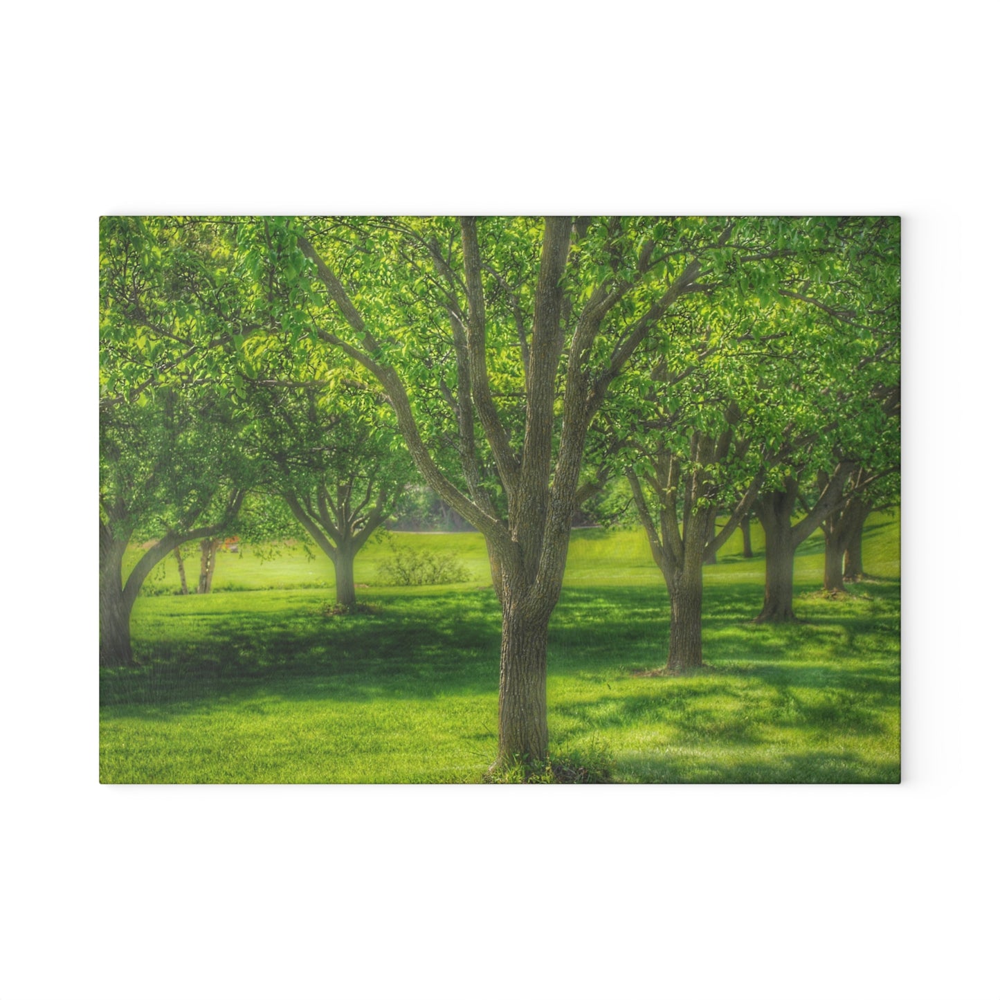U R There Photography Spring Trees in Chartreuse Rustic Farmhouse Tempered-Glass Cutting Board